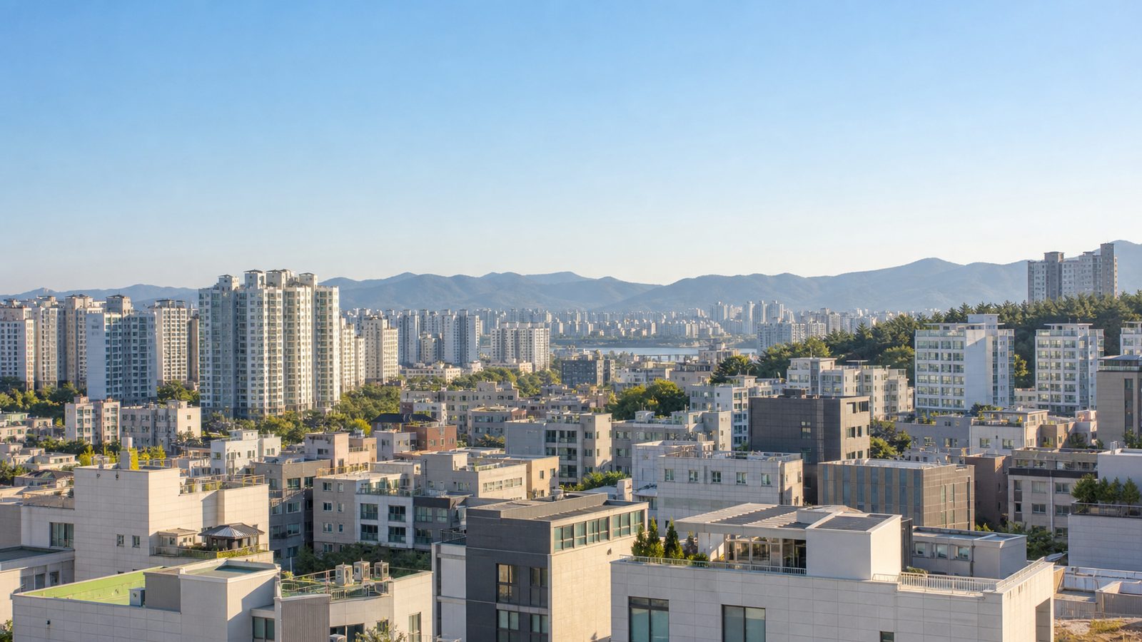목동 치과 현황 안내